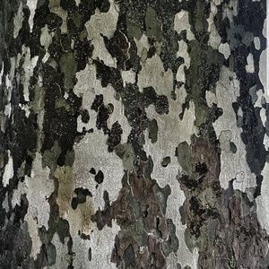 Meet your Posher, Todd